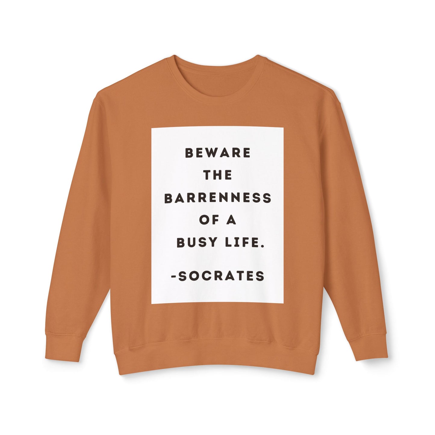 Socrates - Beware - Cozy Ring-Spun Sweatshirt For Suffragettes