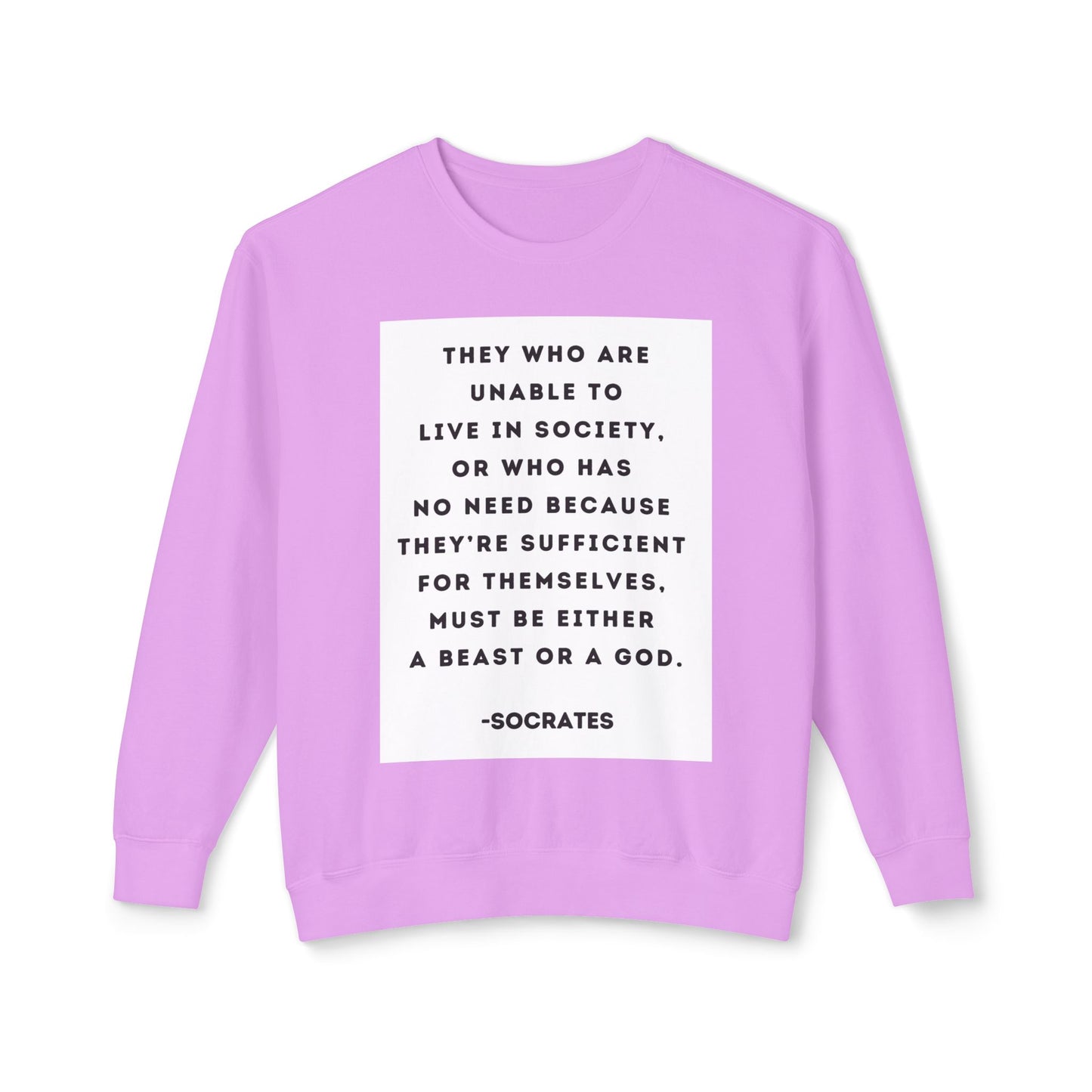 Socrates - Beast or God - Cozy Ring-Spun Sweatshirt For Suffragettes