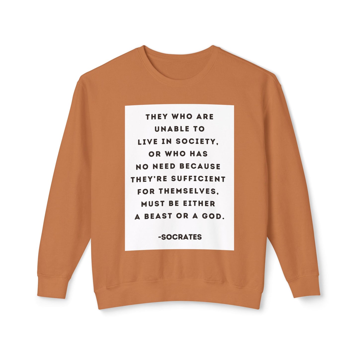 Socrates - Beast or God - Cozy Ring-Spun Sweatshirt For Suffragettes